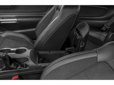 2019 Ford Mustang Shelby Gt350r