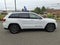 2020 Jeep Grand Cherokee Trailhawk