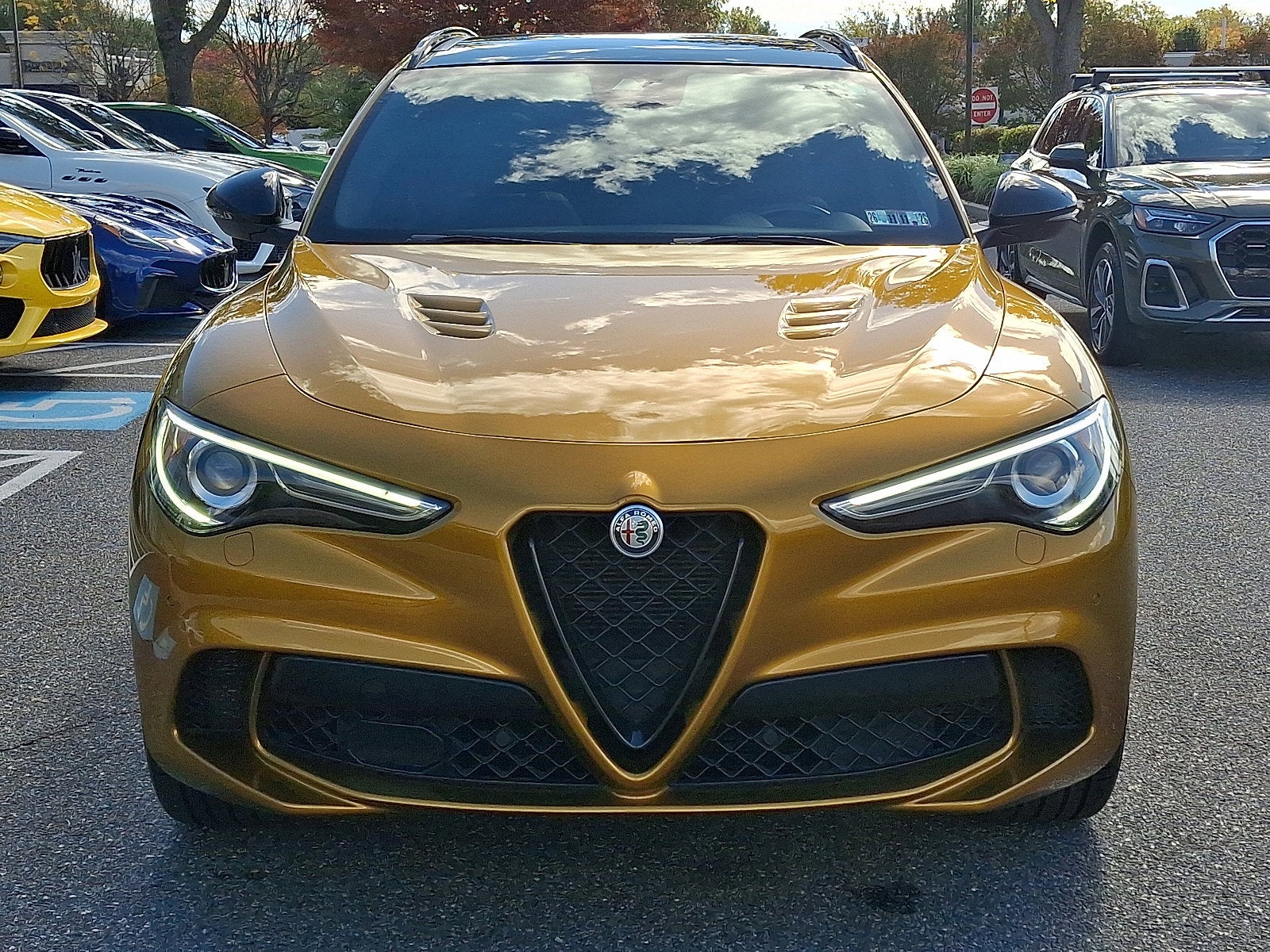 2022 Alfa Romeo Stelvio Quadrifoglio
