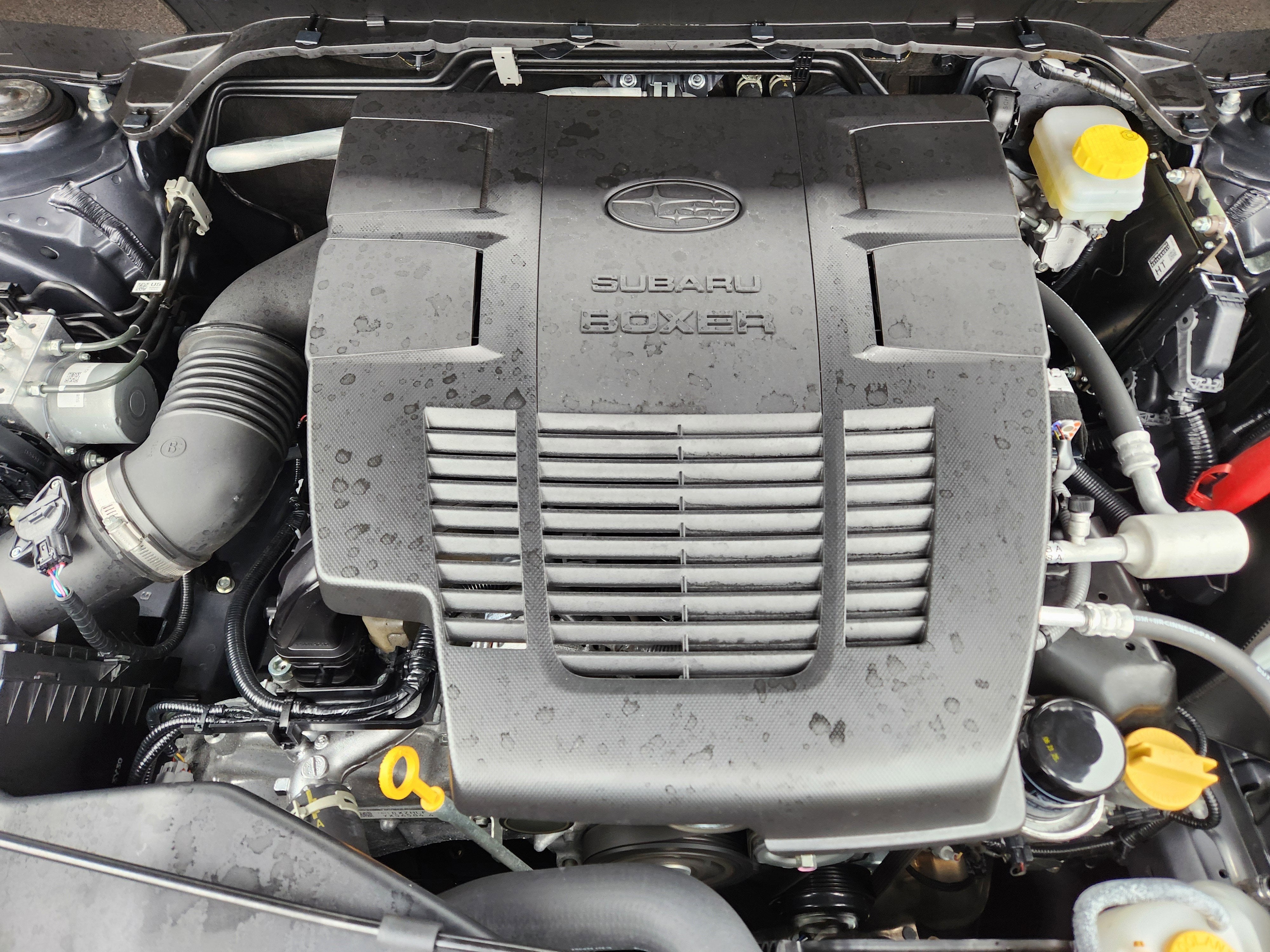 2024 Subaru Forester Sport Reverse Automatic Braking + Multimedia Plus Audio