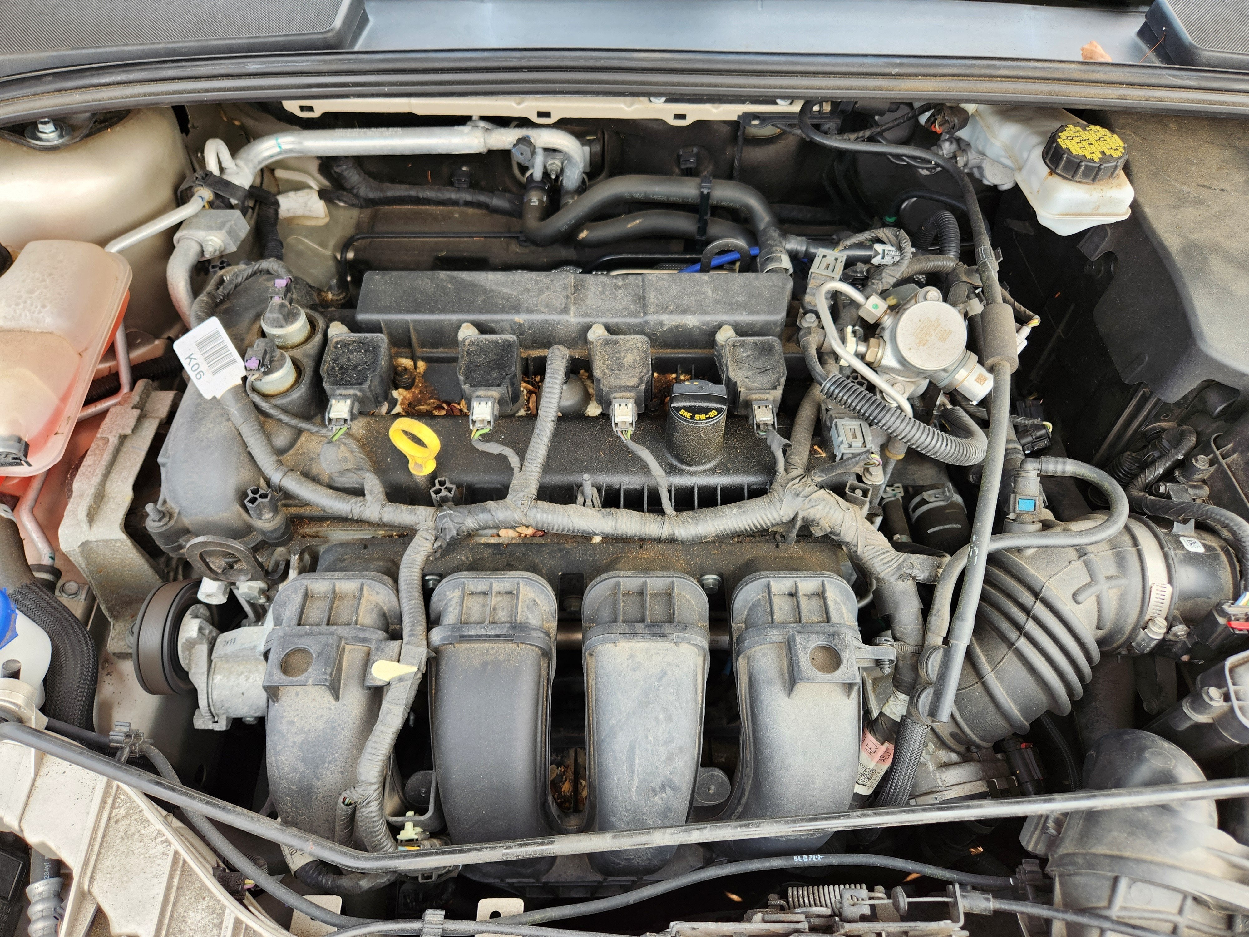 2018 Ford Focus SE