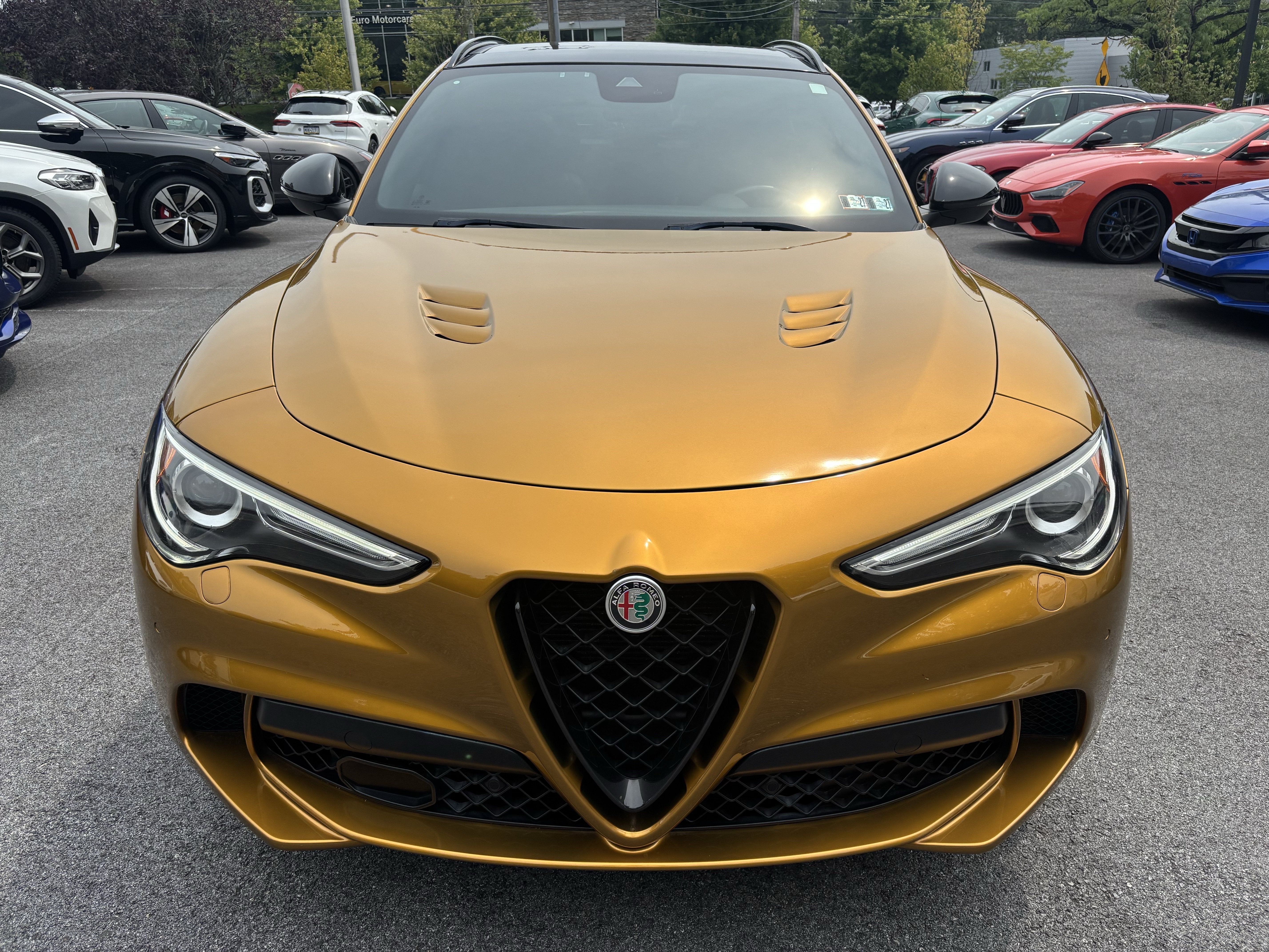 2022 Alfa Romeo Stelvio Quadrifoglio